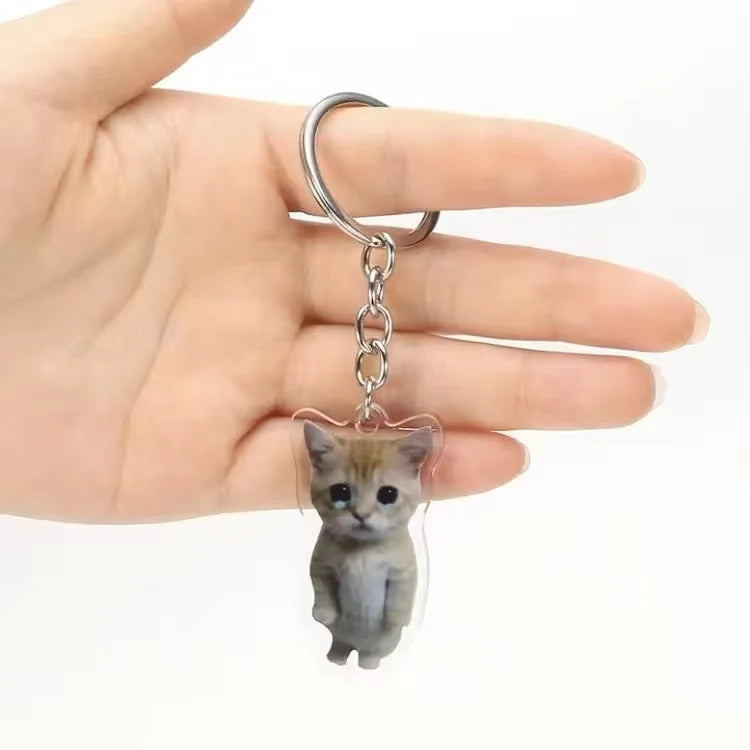 Funny Cats Key Chain