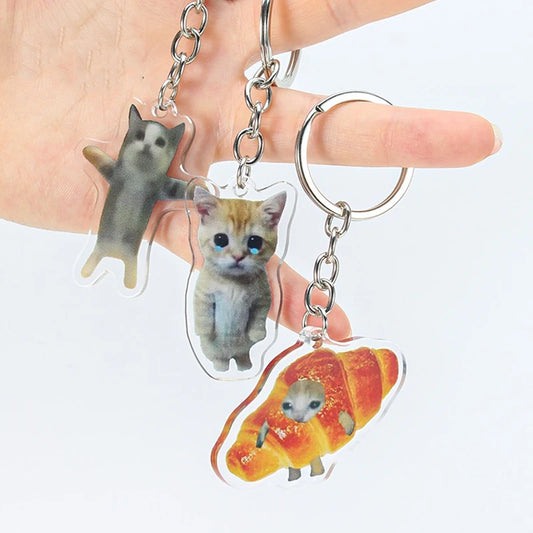 Funny Cats Key Chain